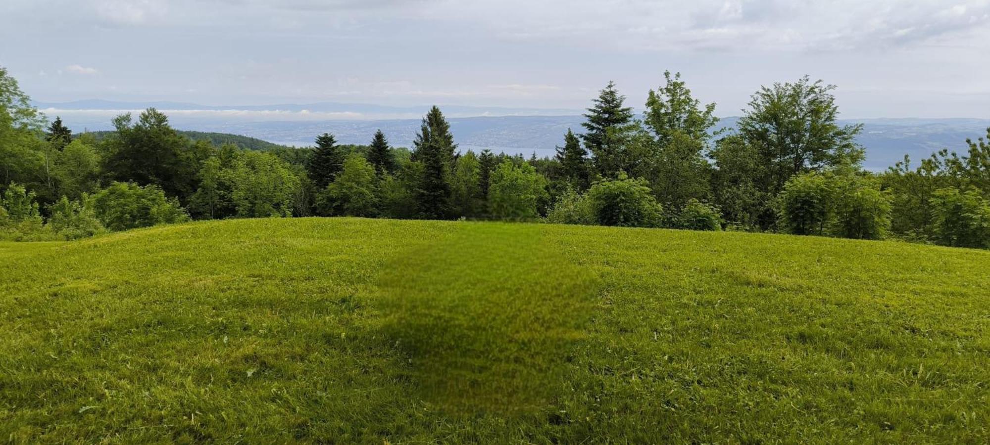 Le Panoramic Apartment Thollon-les-Memises ภายนอก รูปภาพ